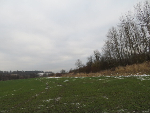 Dražba spoluvlastnického podílu ve výši 1/2 na pozemcích v obci Račice nad Trotinou, okr. Hradec Krá