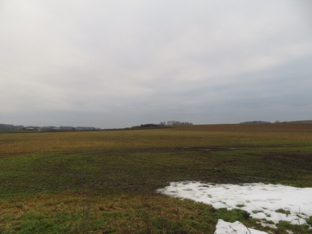 Dražba spoluvlastnického podílu ve výši 1/2 na pozemcích v obci Račice nad Trotinou, okr. Hradec Krá