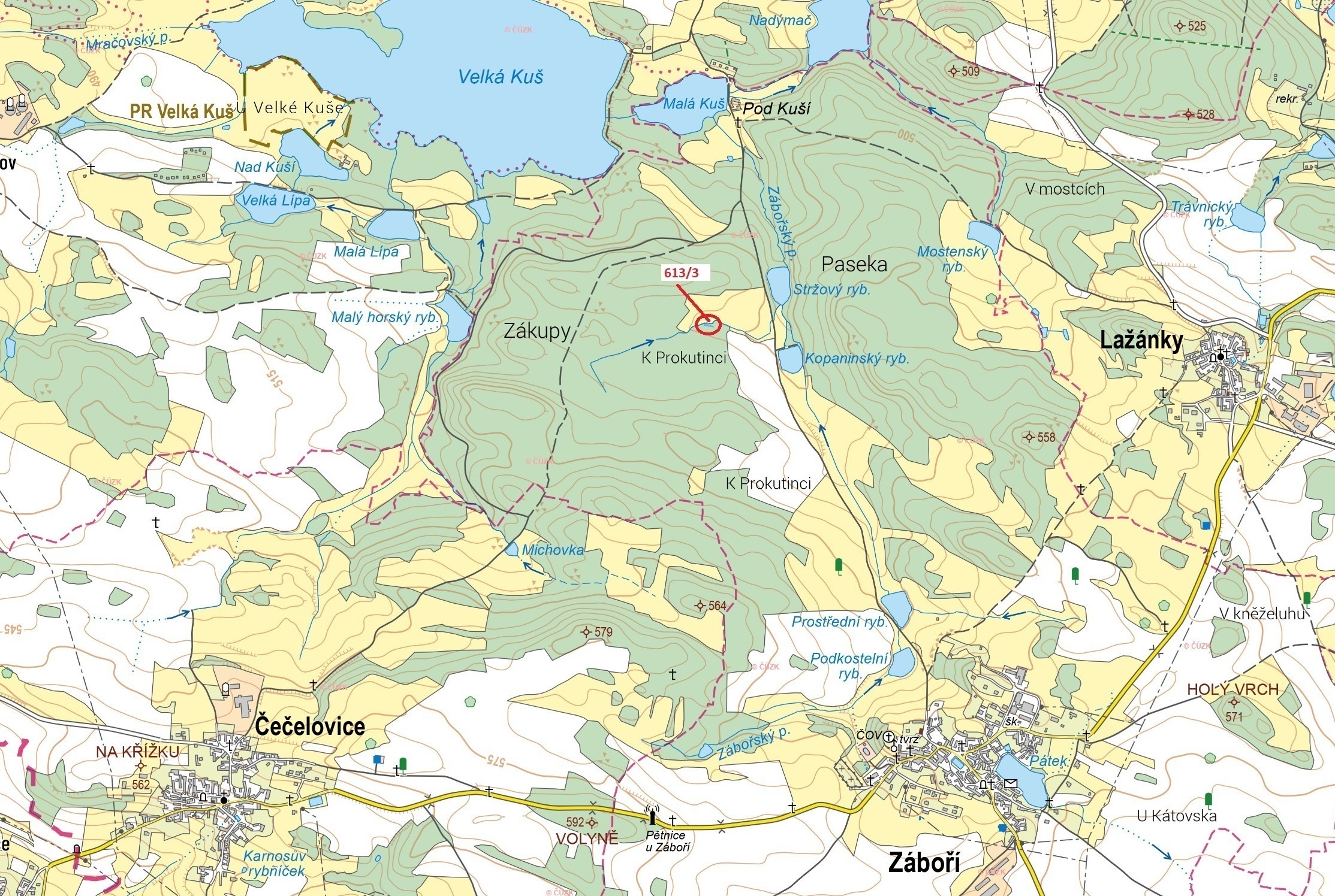 Lesní pozemek o výměře 180 m2, podíl 1/1, katastrální území Záboří u Blatné, obec Záboří, obec s roz