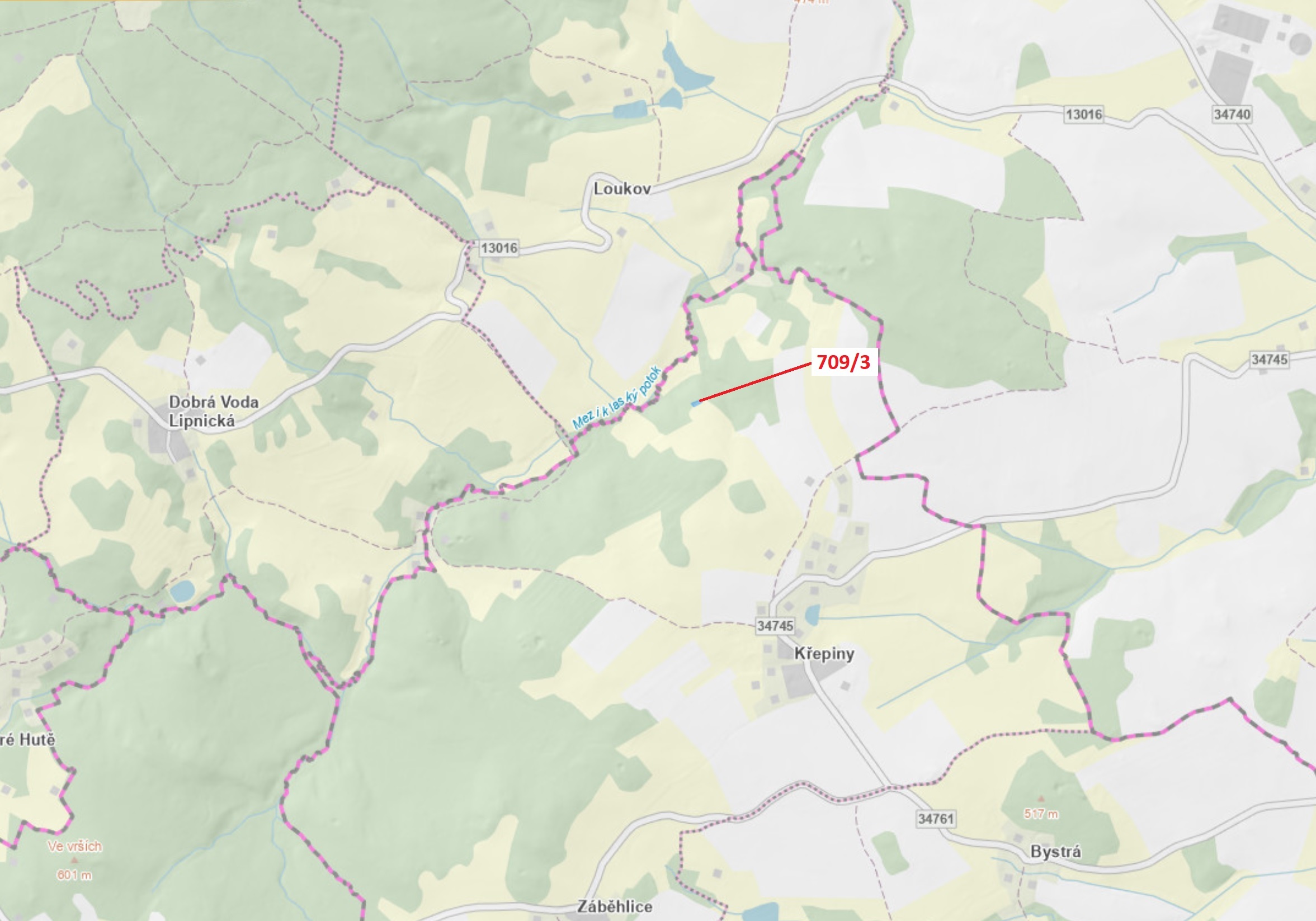 Lesní pozemek o výměře 350 m2, podíl 1/1, katastrální území Křepiny, obec Řečice, obec s rozšířenou 