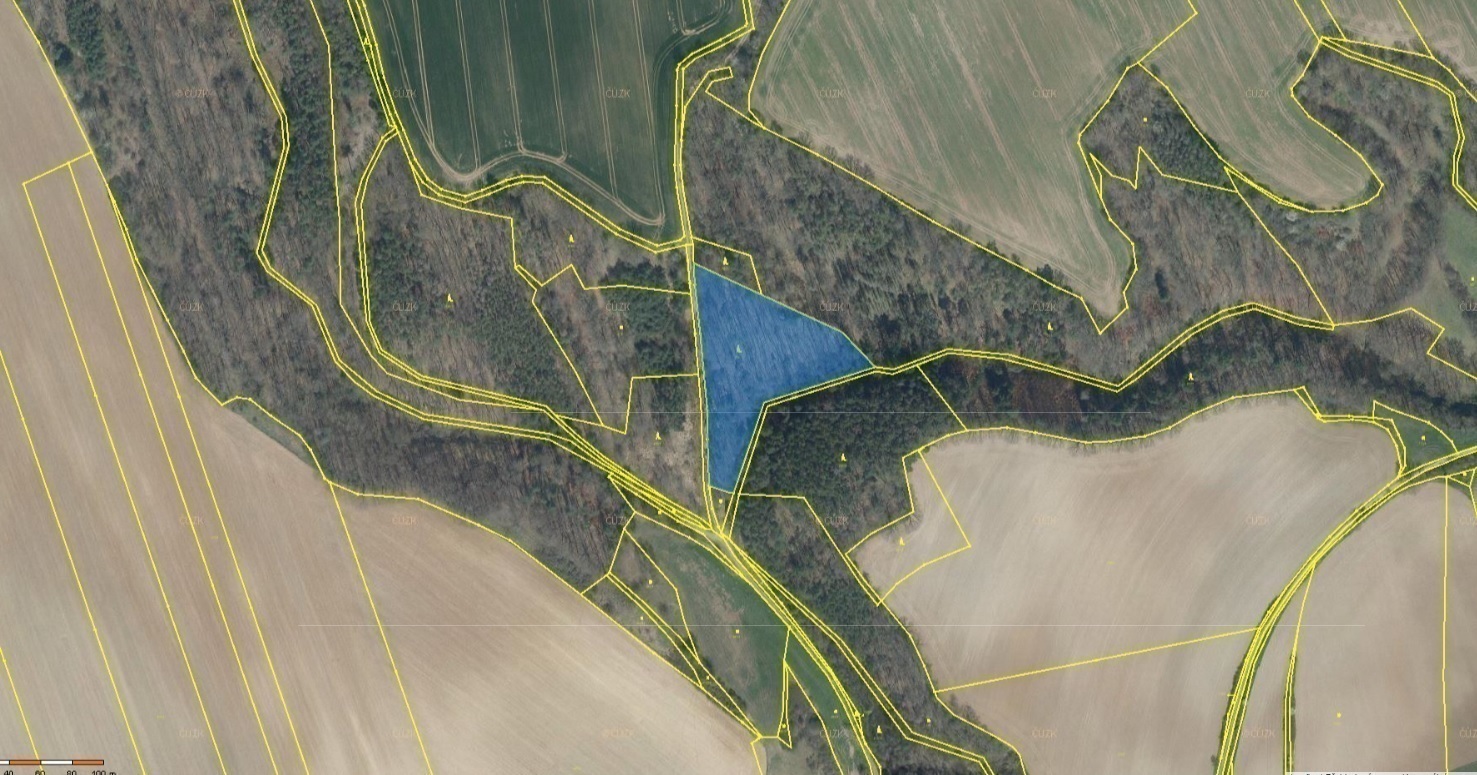 Lesní pozemek o výměře 8141 m2, podíl 1/1, katastrální území Velký Hubenov, obec Snědovice, obec s r