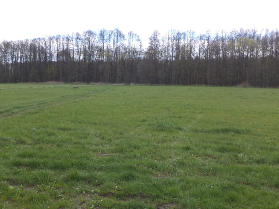 Pozemek o velikosti 2609m2, Tachov