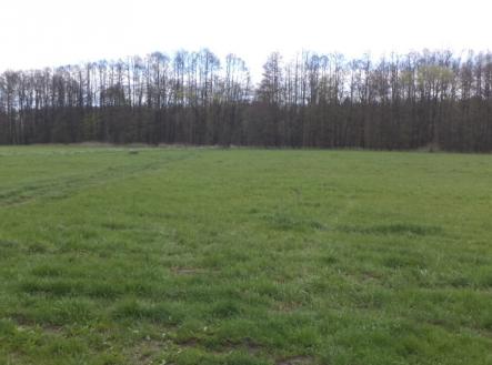 Prodej pozemku, trvalý travní porost, 2 609 m²