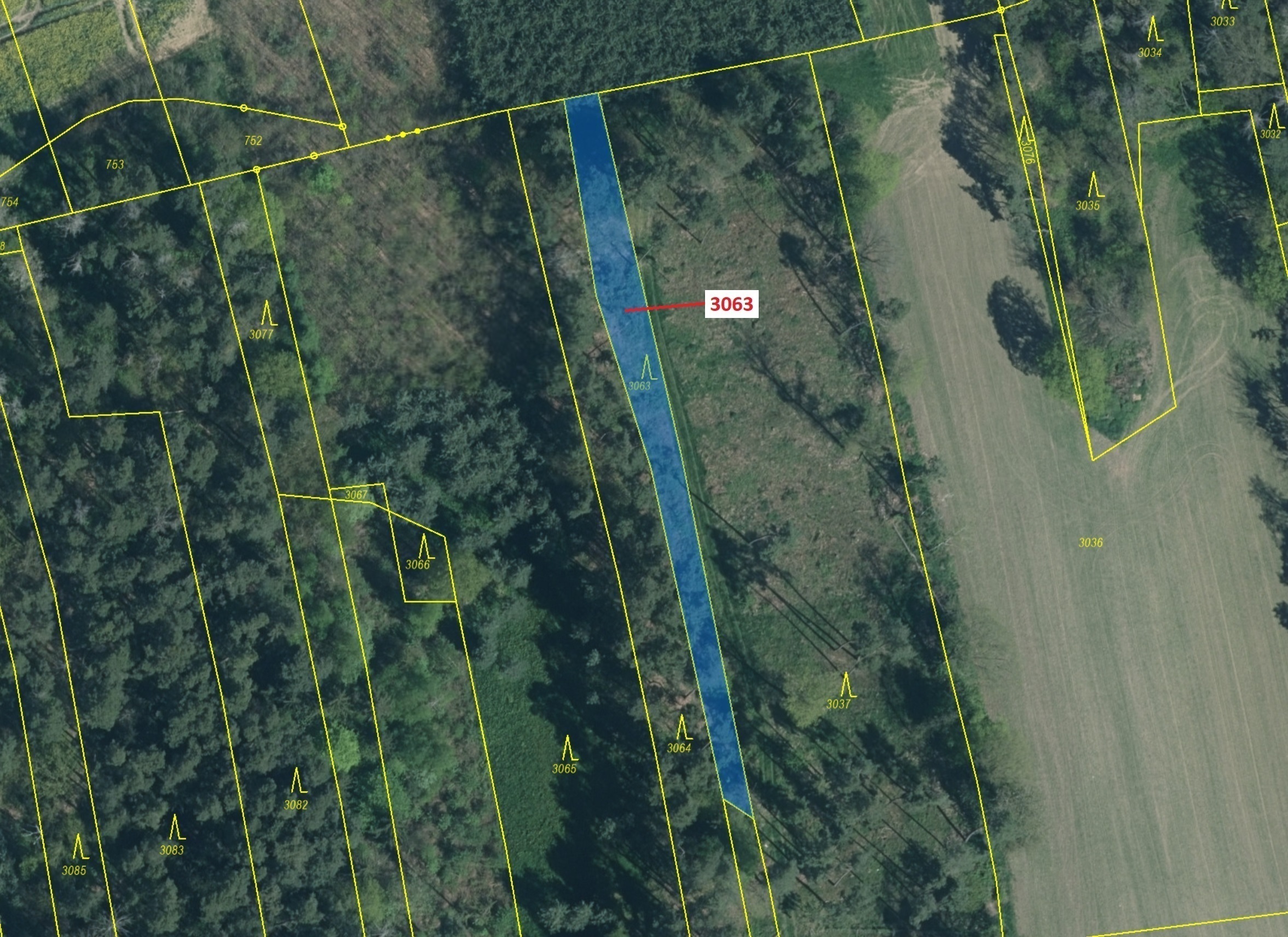 Lesní pozemek o výměře 703 m2, podíl 1/1, katastrální území Koloveč, obec Koloveč, obec s rozšířenou