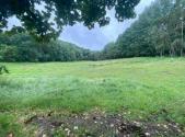Prodej pozemku, trvalý travní porost, 11 289 m²