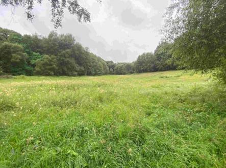 Prodej pozemku, trvalý travní porost, 11 289 m²