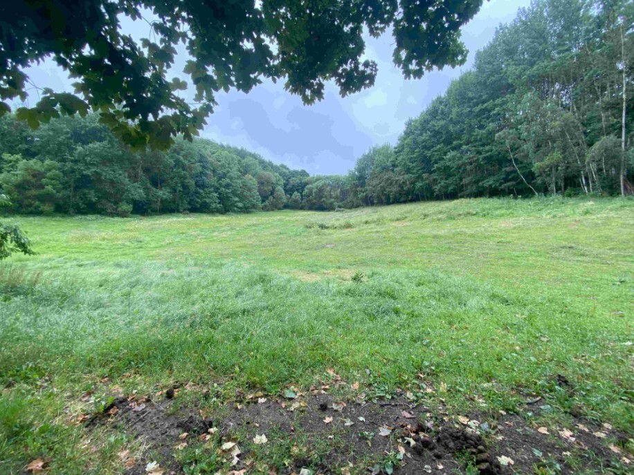 Pozemek o velikosti 11289m2, Vidžín