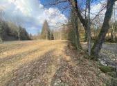 Prodej pozemku, trvalý travní porost, 2 009 m²