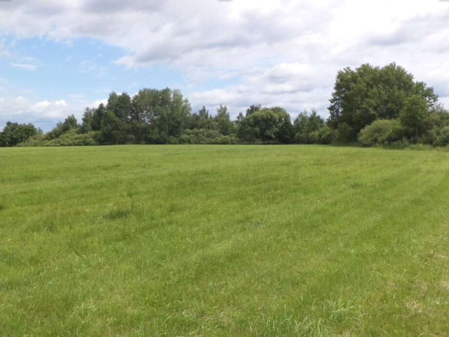 Pozemek o velikosti 1940m2, Horusice