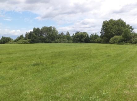 Prodej pozemku, trvalý travní porost, 1 940 m²