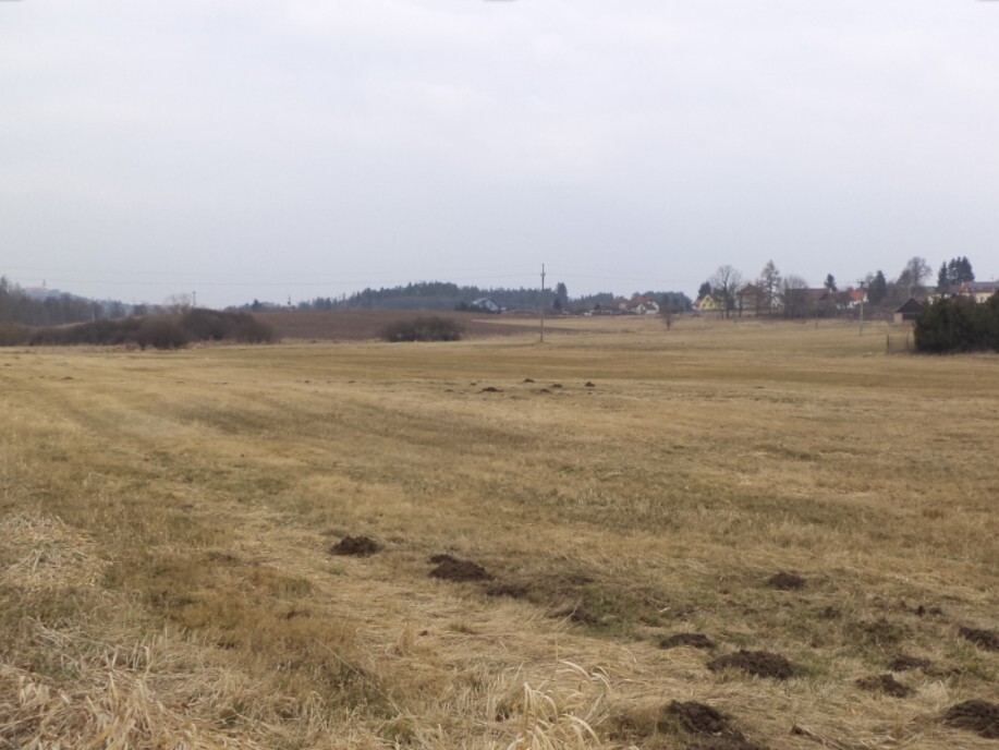 Pozemek o velikosti 1003m2, Tojice