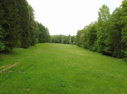 Prodej pozemku, trvalý travní porost, 2 083 m²