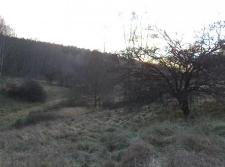 Prodej pozemku, trvalý travní porost, 2 887 m²