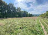 Prodej pozemku, trvalý travní porost, 601 m²