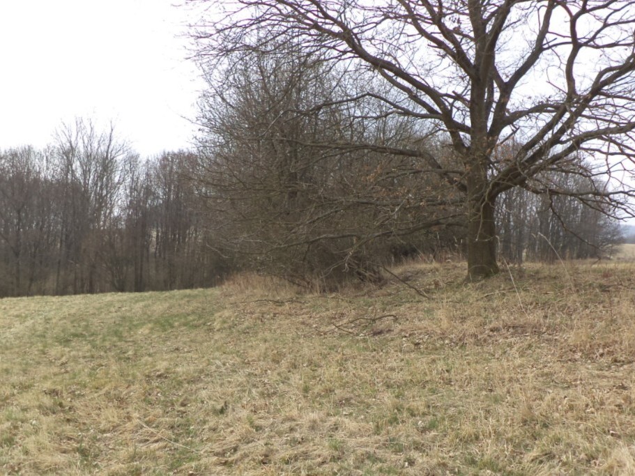 Pozemek o velikosti 939m2, Řetouň