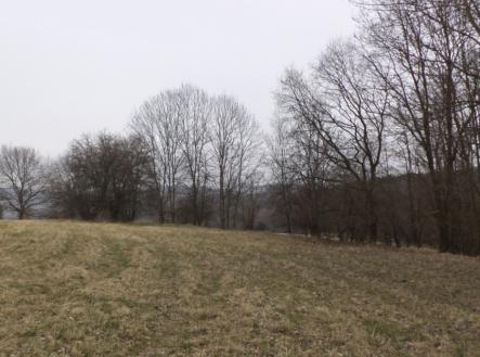 Prodej pozemku, trvalý travní porost, 939 m²