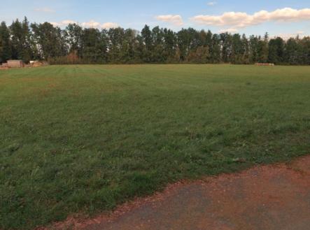 Prodej pozemku, zemědělská půda, 5 596 m²