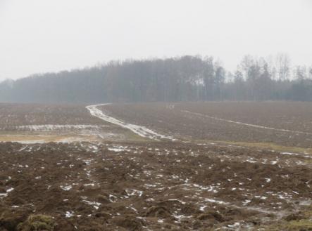 Prodej pozemku, zemědělská půda, 5 228 m²