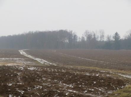 Prodej pozemku, zemědělská půda, 5 228 m²