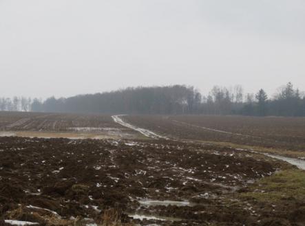 Prodej pozemku, zemědělská půda, 5 228 m²
