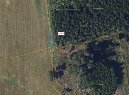 Prodej pozemku, les, 90 m²