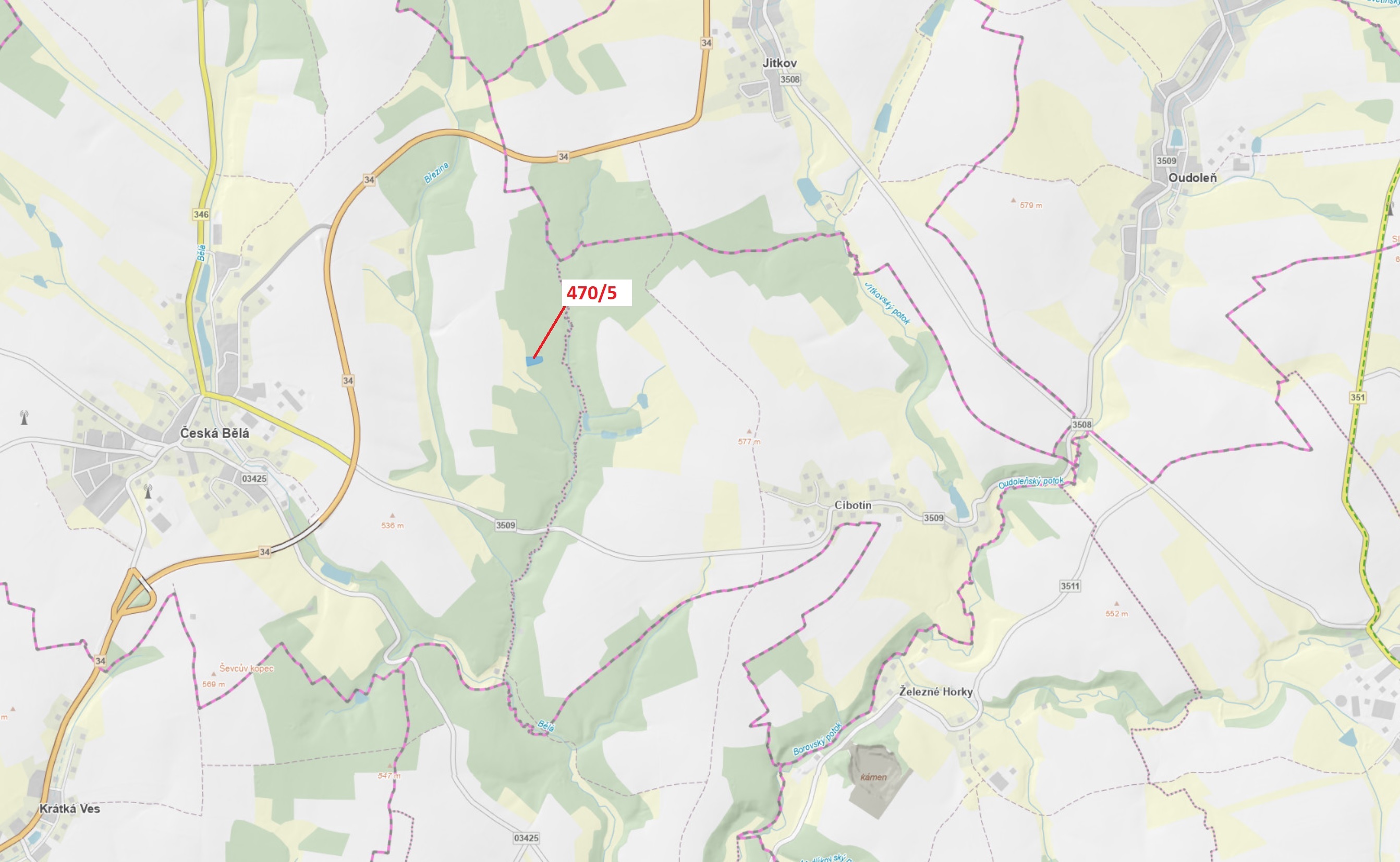 Lesní pozemek o výměře 2751 m2, podíl 1/1, katastrální území Česká Bělá, obec Česká Bělá, obec s roz