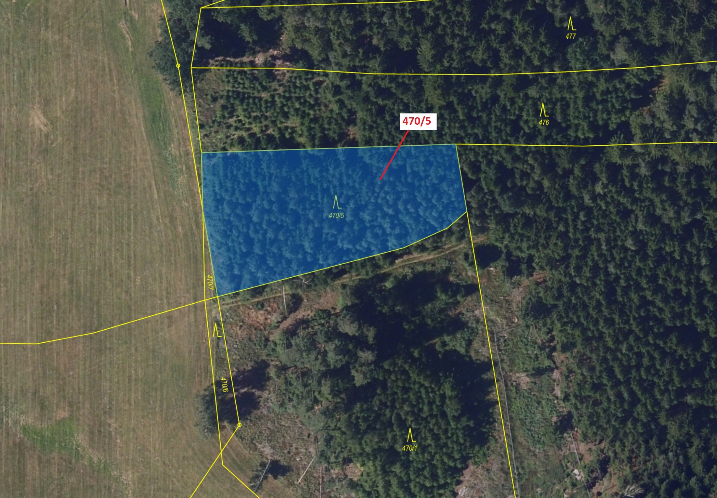 Lesní pozemek o výměře 2751 m2, podíl 1/1, katastrální území Česká Bělá, obec Česká Bělá, obec s roz