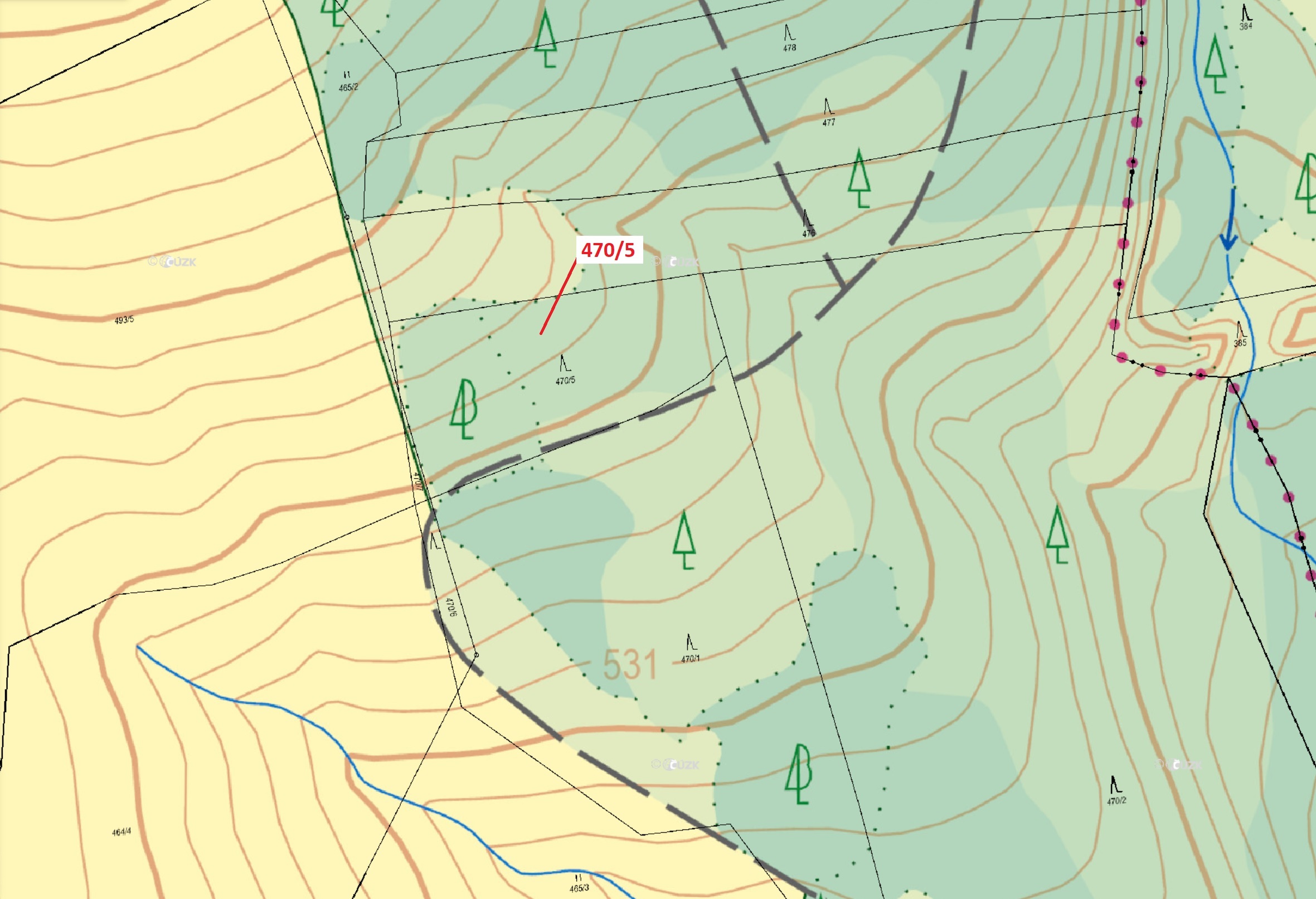 Lesní pozemek o výměře 2751 m2, podíl 1/1, katastrální území Česká Bělá, obec Česká Bělá, obec s roz