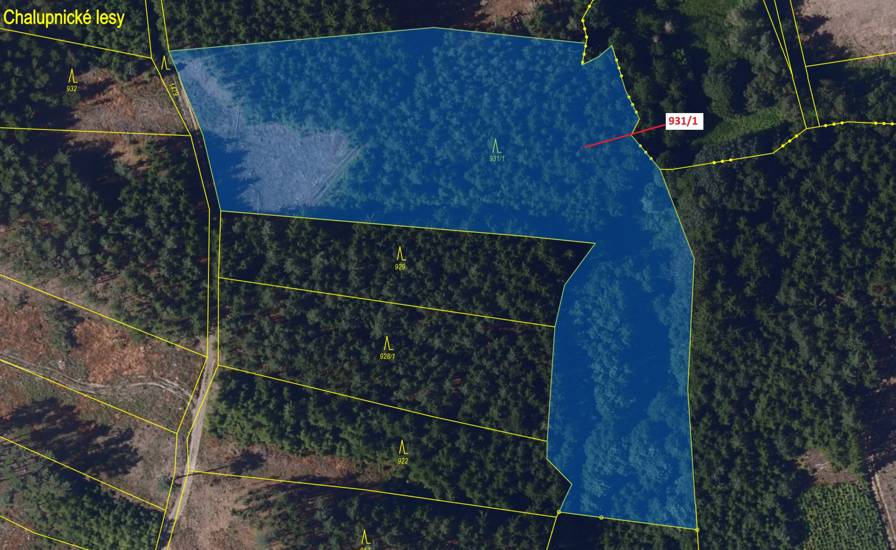 Lesní pozemek o výměře 10  812 m2, podíl 1/1, katastrální území Česká Bělá, obec Česká Bělá, obec s 