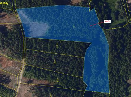 Prodej pozemku, les, 10 812 m²