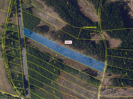 Prodej pozemku, les, 5 552 m²