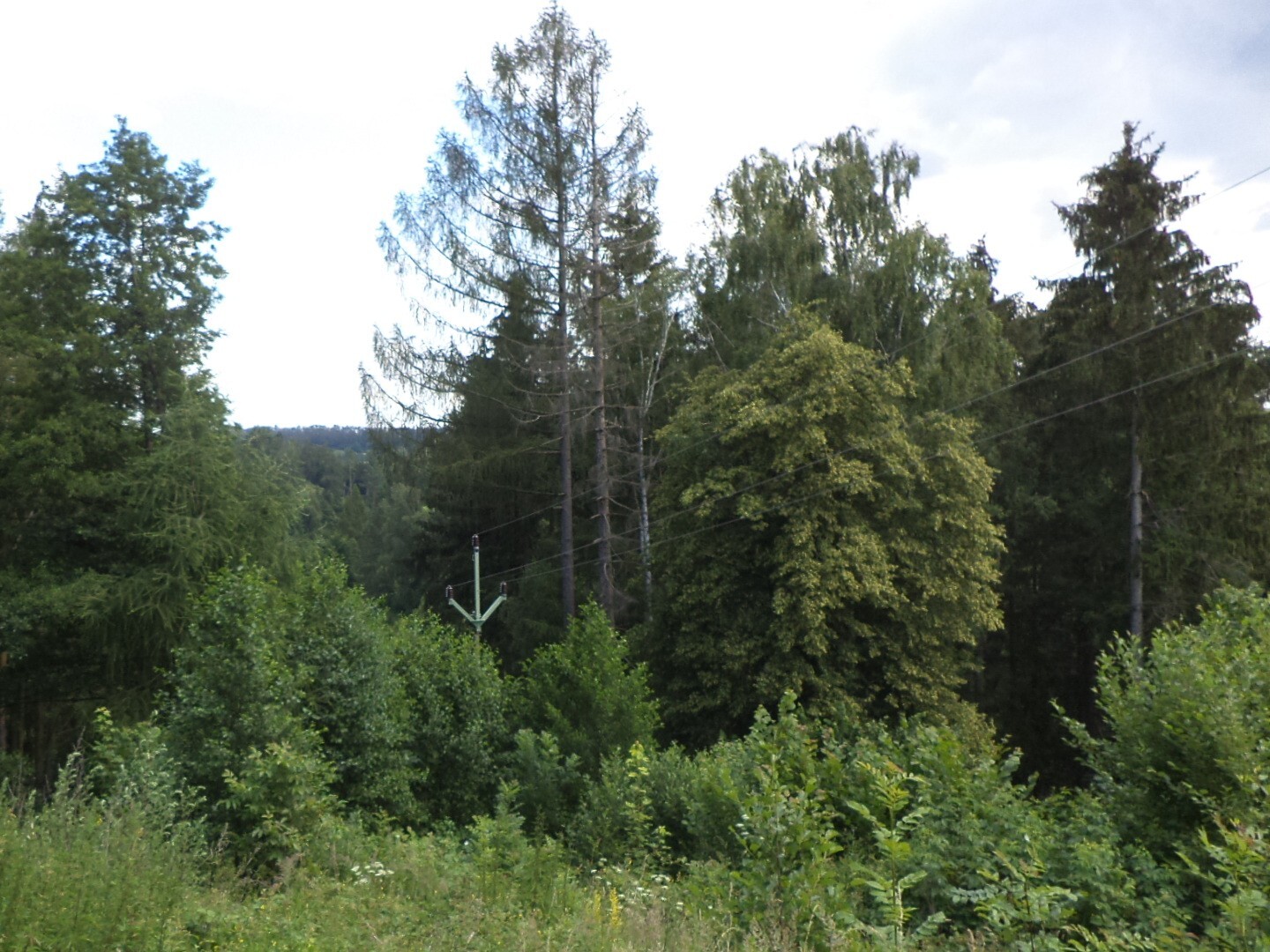 Pozemek o velikosti 766m2, Nové Hrady u Skutče