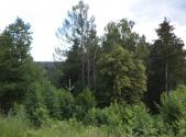 Prodej pozemku, trvalý travní porost, 766 m²