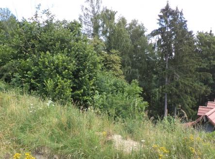 Prodej pozemku, trvalý travní porost, 766 m²