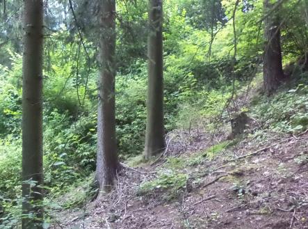 Prodej pozemku, trvalý travní porost, 766 m²