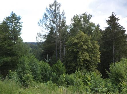 Prodej pozemku, trvalý travní porost, 766 m²