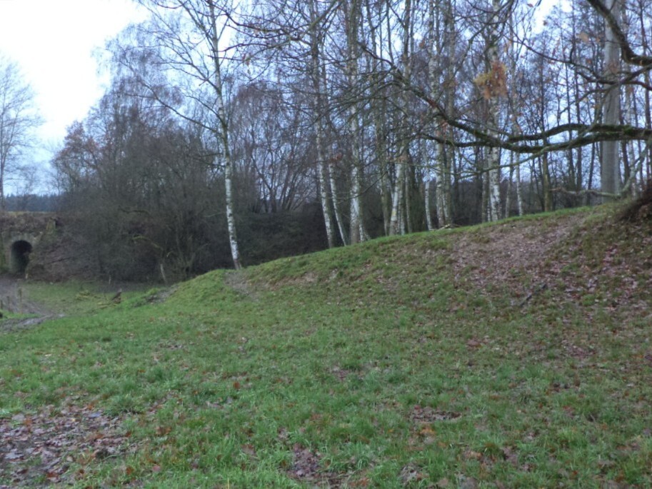 Pozemek o velikosti 1017m2, Cvikov