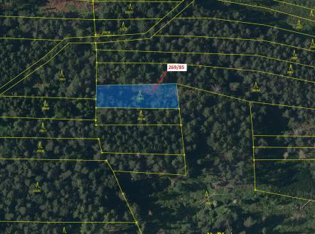 Prodej pozemku, les, 1 049 m²