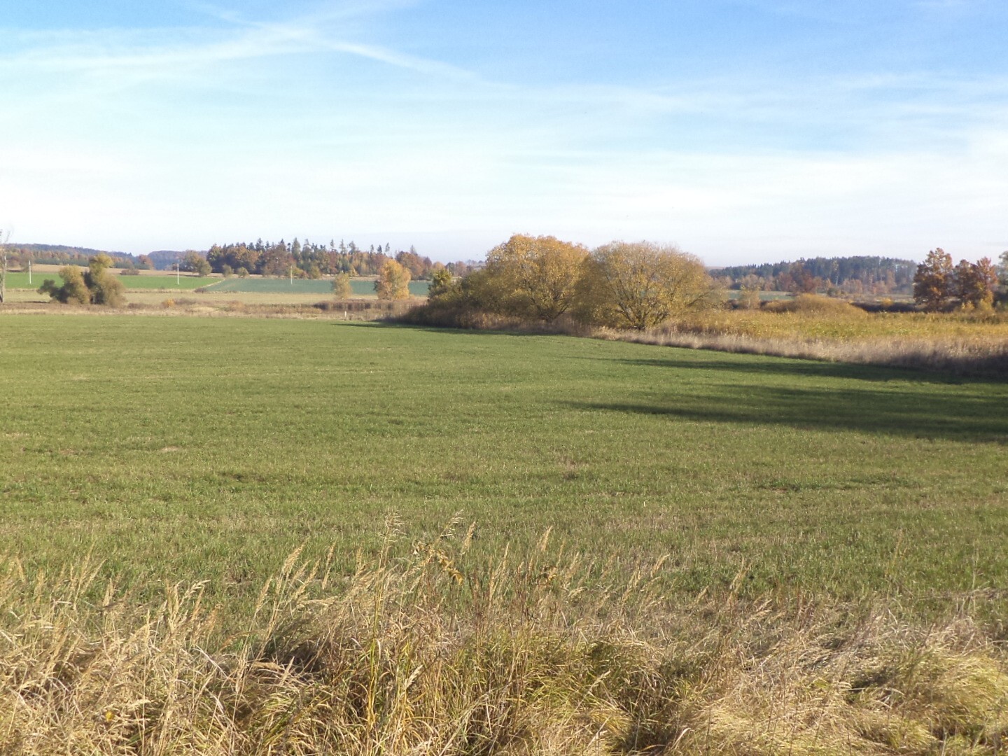 Pozemek o velikosti 1225m2, Borovná