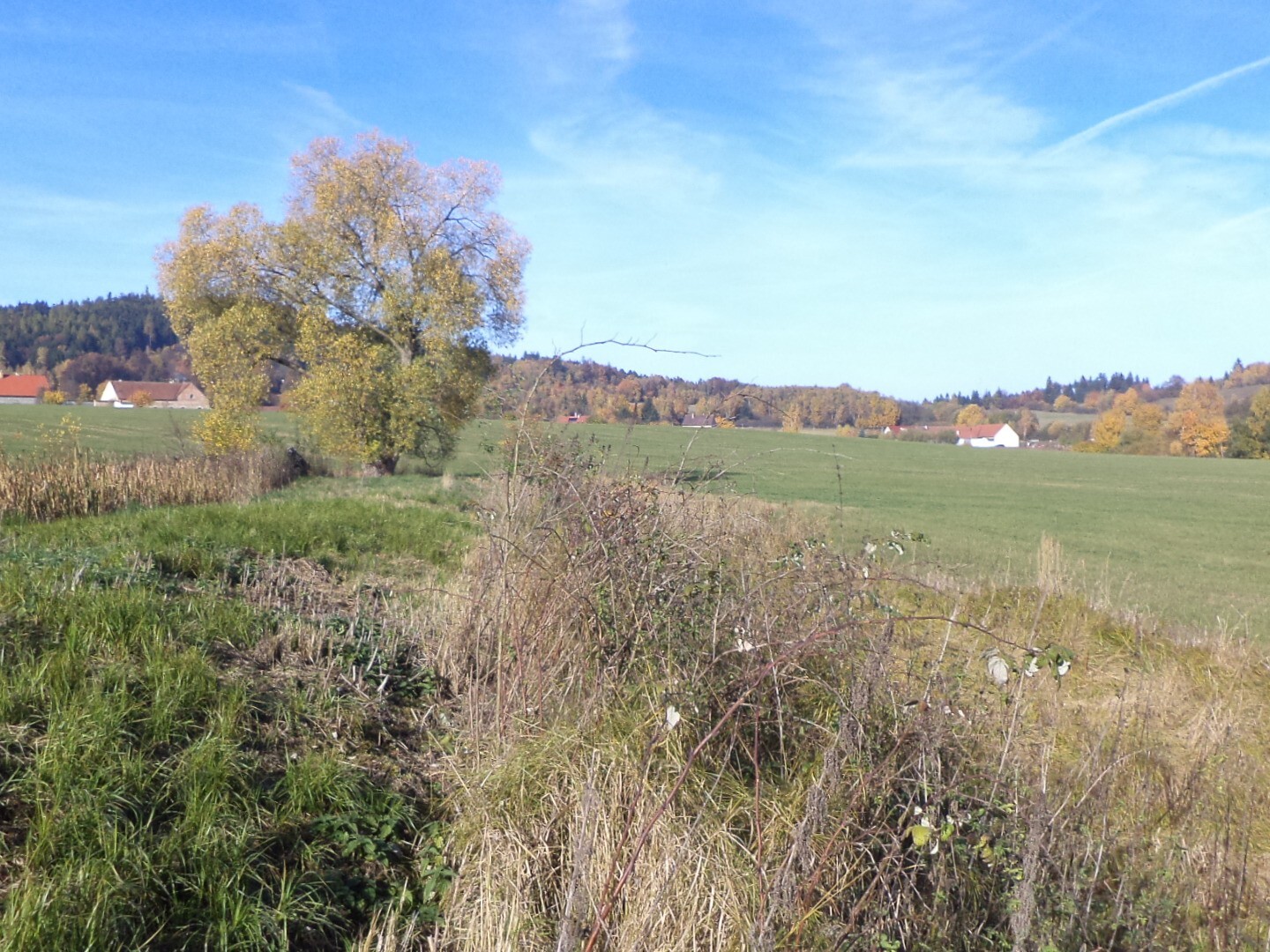 Pozemek o velikosti 1225m2, Borovná
