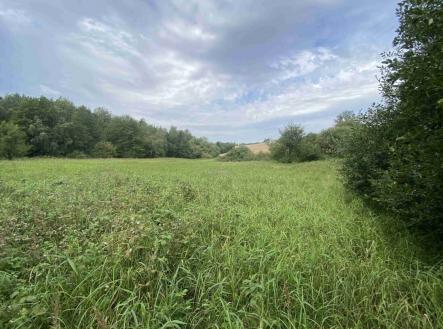 Prodej pozemku, trvalý travní porost, 4 446 m²