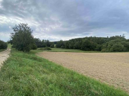 Prodej pozemku, trvalý travní porost, 4 446 m²