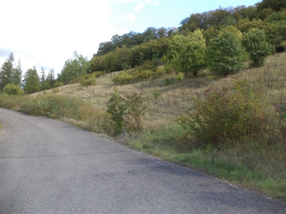 Pozemek o velikosti 3418m2, Stadice