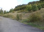 Prodej pozemku, trvalý travní porost, 3 418 m²