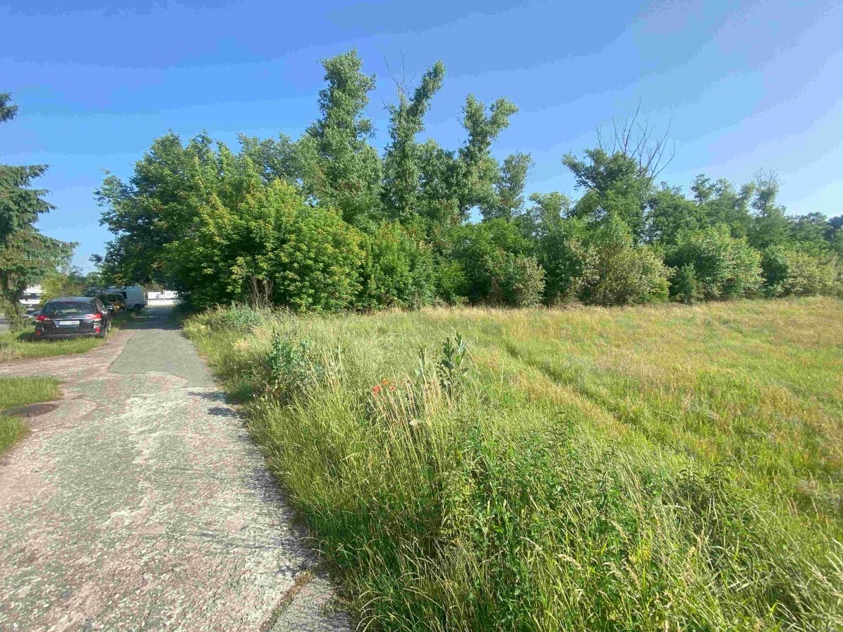 Stavební pozemek o velikosti 2722m2, Moravský Písek