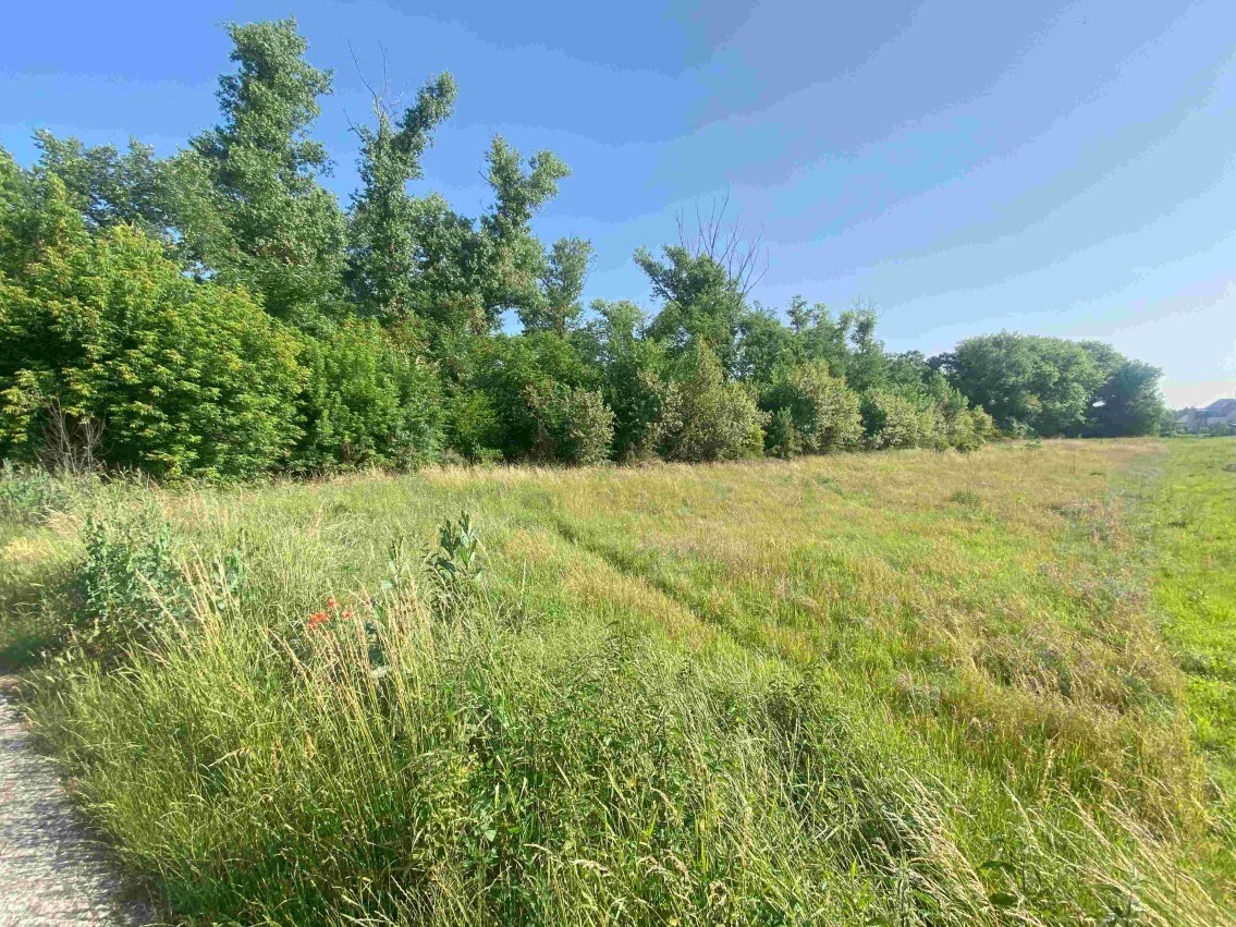 Stavební pozemek o velikosti 2722m2, Moravský Písek