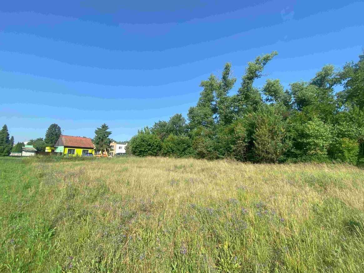 Stavební pozemek o velikosti 2722m2, Moravský Písek