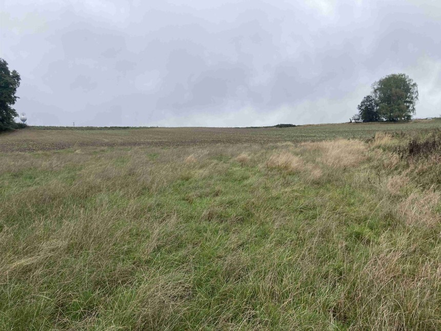 Pozemek o velikosti 15764m2, Kostelec nad ČL