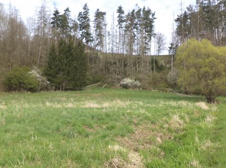 Prodej pozemku, trvalý travní porost, 2 759 m²