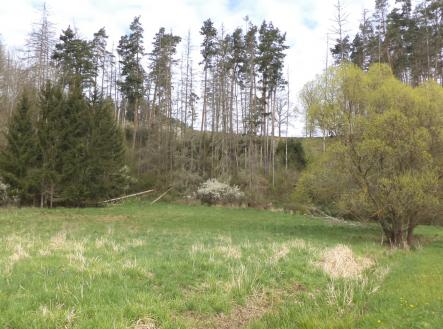 Prodej pozemku, trvalý travní porost, 2 759 m²
